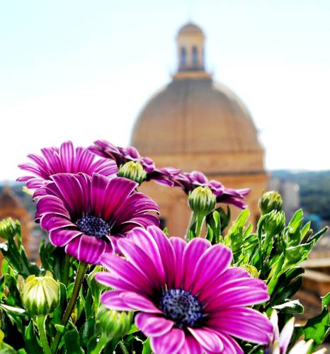 Noto Italien Neuer Rabattcode Booking.com